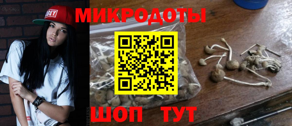Галлюциногенные грибы MAGIC MUSHROOMS  даркнет сайт  Троицк  Вход с VPN 